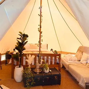 Fen Meadows Glamping - Luxury And Bell Tents Campsite Cambridge (Cambridgeshire)