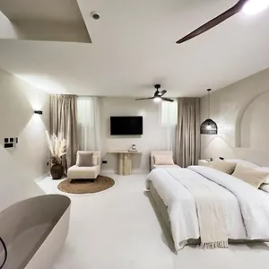 Superb Palais Royal Louvre Museum Free Netflix Apartment Paris